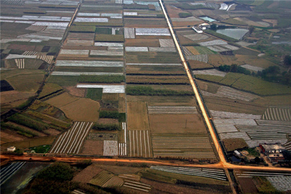 土壤水分速測儀在西瓜種植上的應用 土壤水分速測儀在西瓜種植上的應用