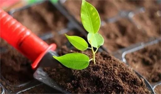 土壤墑情監測系統有什么用途 土壤墑情監測系統有什么用途