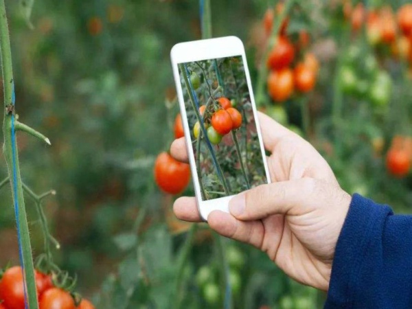 土壤墑情遠程監測及預警系統 土壤墑情遠程監測及預警系統
