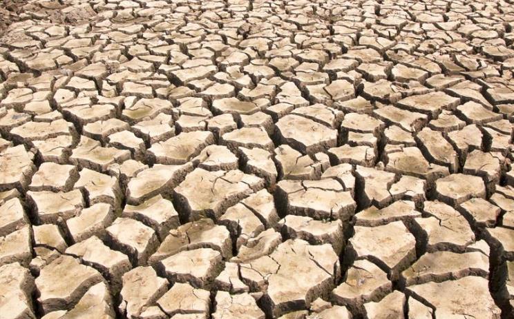 土鑲摘情監測預報在農業抗旱減災中的作用 土鑲摘情監測預報在農業抗旱減災中的作用