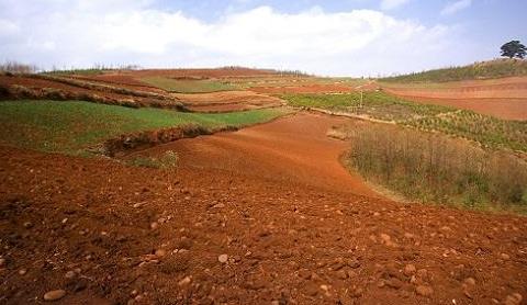 取樣方式不同對(duì)土壤墑情監(jiān)測(cè)精度有影響嗎? 取樣方式不同對(duì)土壤墑情監(jiān)測(cè)精度有影響嗎?