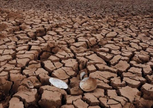 遠(yuǎn)程墑情自動監(jiān)測系統(tǒng)設(shè)計思路 遠(yuǎn)程墑情自動監(jiān)測系統(tǒng)設(shè)計思路