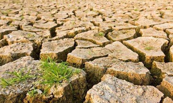 目測土壤墑情？